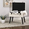 Velvet Upholstered Storage Stool with Black Legs - Glitzhome - image 3 of 4