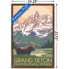 Trends International Lantern Press - Grand Teton Moose & Mountains Framed Wall Poster Prints - 3 of 4