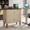 LITTLE TREE 2 Drawer Lateral File Cabinet Beige - 2 of 4