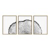 Kate and Laurel Sylvie Tree Rings Set Framed Canvas by Emiko and Mark Franzen of F2Images, 3 Piece 18x24, Natural - 2 of 4