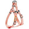 Racxily 2-in-1 Durable Nylon Dog Harness and Leash, with Soft Padded Handle,Escape Proof and Quick Fit to Adjust Dog Harness - 2 of 4