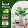 Aoibox 2 Pack Artificial Tropical Faux Plants for Office Desk Home Decor, Sage Green Indoor Fake Potted Plants with Lifelike Leaves - 2 of 4