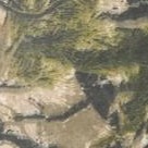woods camo
