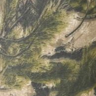 woods camo