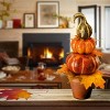 15" Potted Pumpkin Decor - National Tree Company - image 2 of 2
