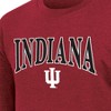 NCAA Indiana Hoosiers Men's Crew Neck Fleece Sweatshirt - 3 of 3