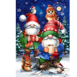 Briarwood Lane Winter House Flag 40x28 For Outdoor Warm Wishes Gnomes For Winter House Flag - 1 of 4