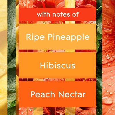 Hawaiian Breeze Infused Essential Oils Air Freshener Refills, 6.2 oz 2pk