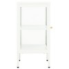 vidaXL Sideboard 15"x13.8"x27.6" Metal and Glass - 4 of 4