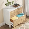 Tribesigns 2 Drawer Lateral File Cabinet, Office Filing Cabinet - 4 of 4