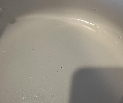 Guest review image 1 of 2, zoom in