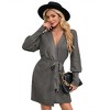 BLUEMING Women Fall Winter Dress 2025 V Neck Long Sleeve Ribbed Knit Belted A Line Mini Knit Dress - 2 of 4