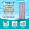 Hurricane Filters HF5374-01P Platinum Purple Spa Filter Cartridge Replacement for Unicel, Filbur, Rainbow, Waterway, Leisure Bay Models (6 Pack) - 2 of 4