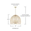 Capital Lighting Wren 4 - Light Pendant in  Matte Brass - 2 of 4
