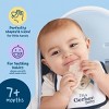 Gerber Baby Food Strawberry Apple Spinach Teething Wafers Baby Snack - 12ct/1.7oz Total - image 4 of 4