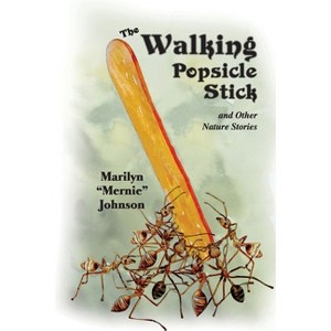The Walking Popsicle Stick - by  Marilyn Johnson (Paperback) - 1 of 1