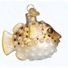 Old World Christmas Glass Blown Christmas Ornament for Tree, Pufferfish (With OWC Gift Box) - 3 of 4