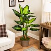 Northlight Wide Leaf Artificial Dieffenbachia Potted Plant - 51" - 2 of 4