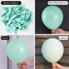 PartyWoo Balloons Teal Pastel Turquoise Peppermint Mint 12 Inch 50 pcs - 2 of 4