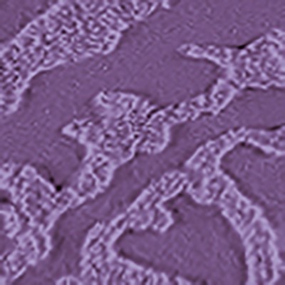 Plum Cotton Chenille Fringe Standard Pillow Sham