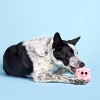 BARK Super Chewer Pig Dog Toy - Hambone - image 3 of 4