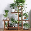 6 Tier Large Wood Flower Pot Rack Plant Stand Wooden Bonsai Display Shelves for Corner Living Room Balcony Yard Decor - 3 of 4