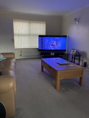 Guest review image 2 of 2, zoom in