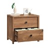 Sauder Cannery Bridge Lateral File Sindoori Mango: 5-Year Warranty, Laminate Finish, MDF, Metal Hardware, 2 Drawers - image 2 of 4