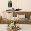 Fish Tank Aquarium Starter Kit, Desktop Small Fish Tank, Mini Desktop Rectangular Fish Tank with Pump, LED Light,Fish Starter Kit, for Small Fish - 3 of 4