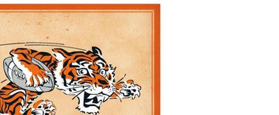 clear push pins bundle