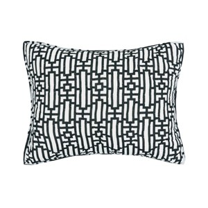 carol & frank 20" x 26" Naya Geometric Cotton Standard Sham - Machine Washable - 1 of 4