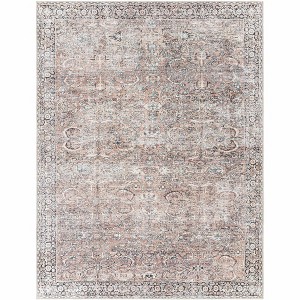 Hauteloom Peach Noda Vintage Washable Area Rug - 1 of 4