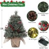 Acekool 24-Inch Snow-Touched Tabletop Tree: Ready-to-Glow Seasonal Display - 3 of 4