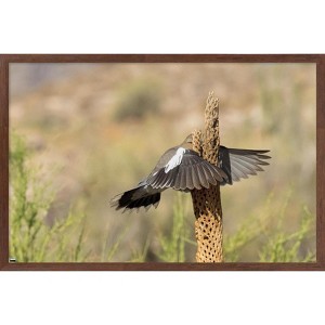 Trends International The Comedy Wildlife Photography Awards: Wendy Kaveney - That Wasn't Here Yesterday Framed Wall Poster Prints - 1 of 4