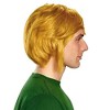 Disguise Legend of Zelda Link Adult Wig Costume Accessory - 2 of 4