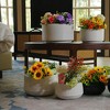 NAYSAYE Planter Set of 2 Ceramic Flowerpot Ribbed Texture for Indoor Outdoor Garden, Milk White, 11.42"*11.42"*6.7" - 4 of 4
