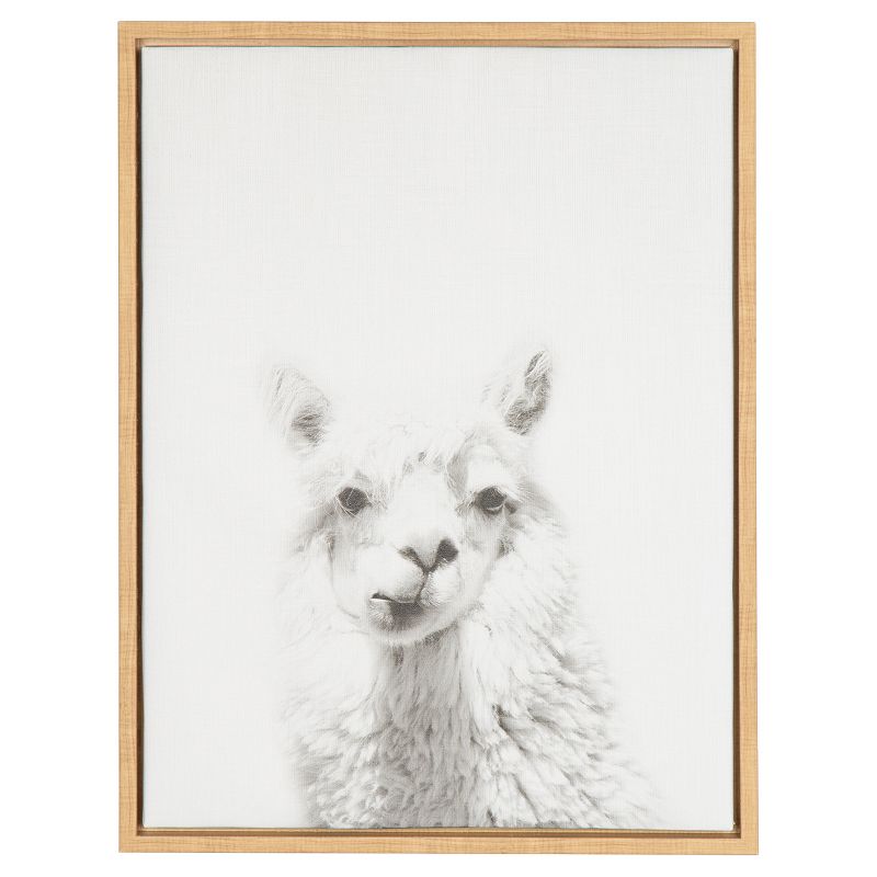 24" x 18" Alpaca Framed Canvas Art - Uniek, 1 of 6