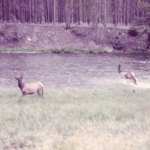 Seahaven - Ghost + Acoustic Sessions (Vinyl) - 1 of 1