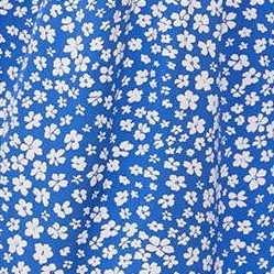 royal blue white flowers