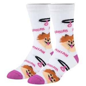 Crazy Socks, Pomeranian, Funny Novelty Socks, Medium - 1 of 4