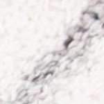cream/grey