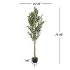 KWPZQEB 6FT Olive Trees Artificial, Faux Olive Tree with Black Planter, Artificial Plants with Natural Wood Trunk for Home Office Decor - 4 of 4