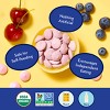 Once Upon a Farm Organic Smoothie Melts Baby Snacks - Berry Burst - 1oz - 4 of 4