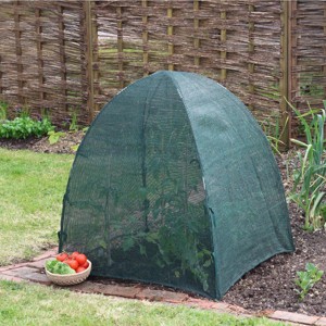 Plant Protection Domes, UV-Stabilized, 36x36x37, Weather & Pest Protection, with Galvanized Steel Hoops and Ground Pegs - 1 of 4