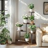 Artloge 5 Tiers Tall Corner Plant Stand Industrial Multiple Flower Pots Display Stand for Living Room Garden Patio Balcony Office Decor - 2 of 4