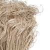 Vickerman Natural Botanicals 24"-28" Curly Ting Ting - 3 of 4