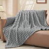 Aoibox Updated Grey Throw Blanket for Couch and Bed - Super Soft and Warm 3D Checkered Fluffy Fuzzy Fleece Blanket, Luxurious Plush Cozy Blanket - 2 of 4
