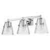 Analia 3-Light Vanity Bath Light - Elegant Steel Frame with Clear Textured Glass Shades - 2 of 4