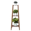 2/3/4 Tiers Bamboo Tall Ladder Plant Stand Flower Pots Display Shelf Flower Bench Holder Indoor for Corner Space Storage - 4 of 4