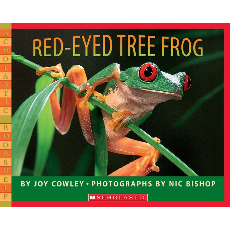 Red-Eyed Tree Frog - (Scholastic Bookshelf) by  Joy Cowley (Paperback), 1 of 2